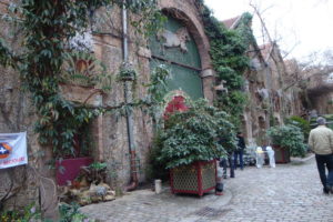 DSC08186