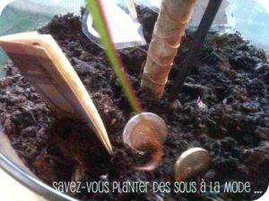 planter_les_sous