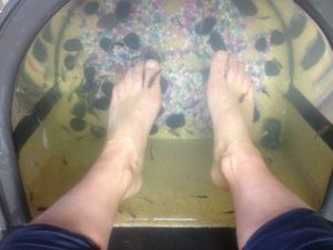 fishpedicure