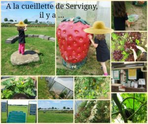 cueillette-servigny-region-parisienne