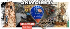 animation-accueil