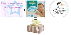 Pampers-little-cigogne-parisienne-a-vincennes