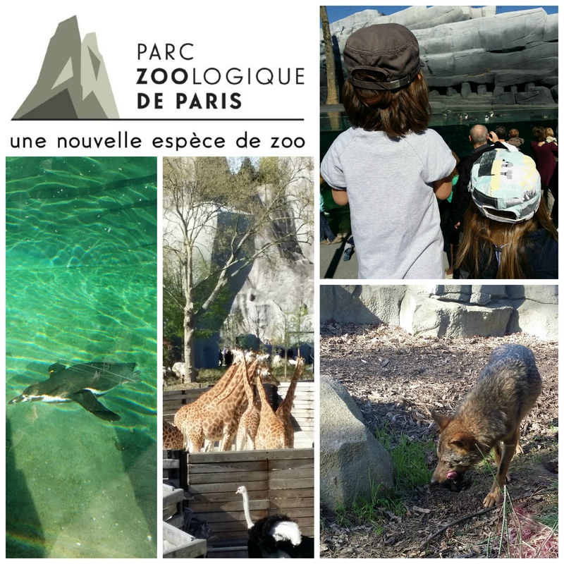 zoo-de-vincennes