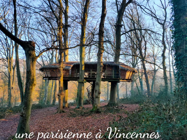 cabane dans les arbres