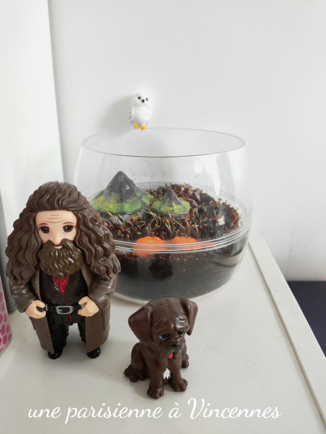 Terrarium Harry Potter - La cabane d'Hagrid - Clémentoni