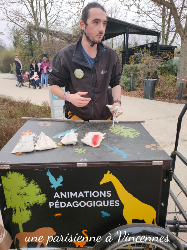 zoo
animations pedagogiques
