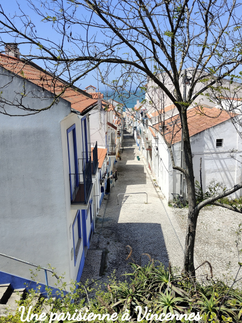 ruelles 